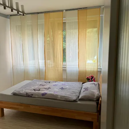 Apartment Bingen