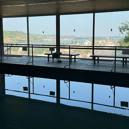 Apartment Bingen *