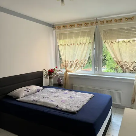 Apartment Bingen Bingen am Rhein