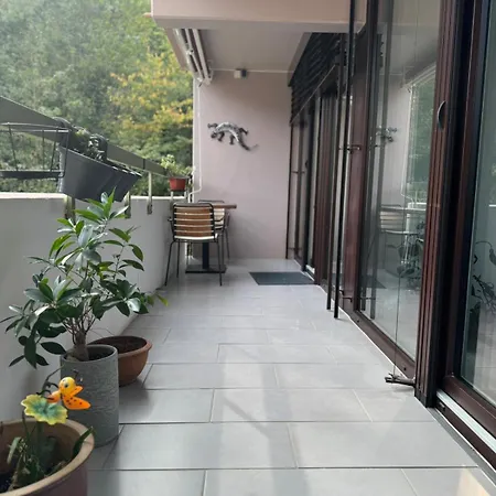 Apartament Bingen Bingen am Rhein