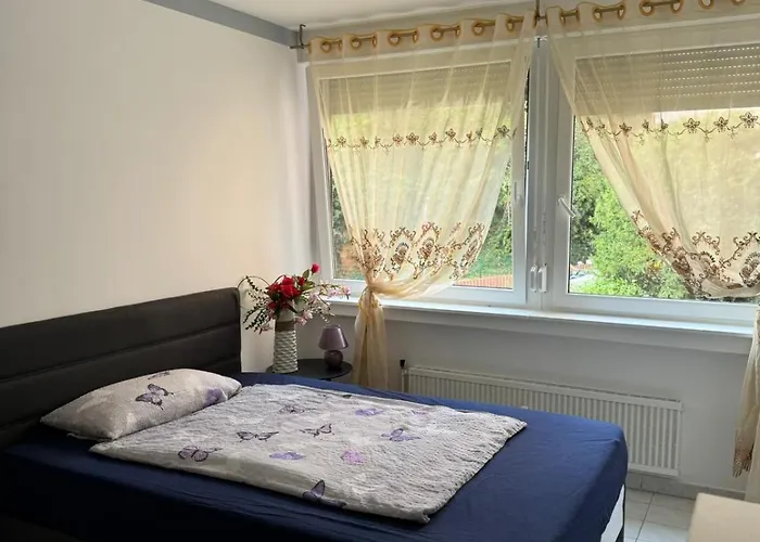 Appartement Bingen Bingen am Rhein